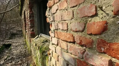 Old Abandoned Building In The Forest Stock Footage 61784782