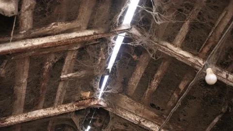 An old abandoned building is founded by a web Stock Footage 233998283