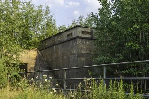 An old abandoned bunker complex in the forest Stock Photos