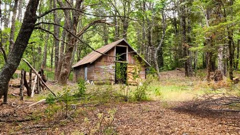 Old abandoned cabin in forest Stock Photos