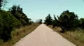 old abandoned coastal road buzzard soars above HD 동영상