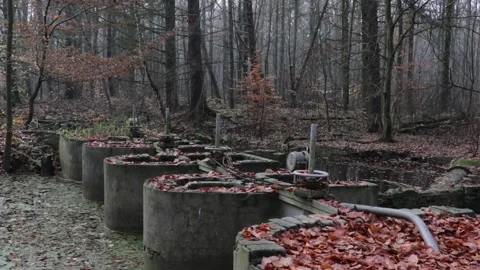 Old abandoned construction in a forest with fall leaves Stock Footage 200807507