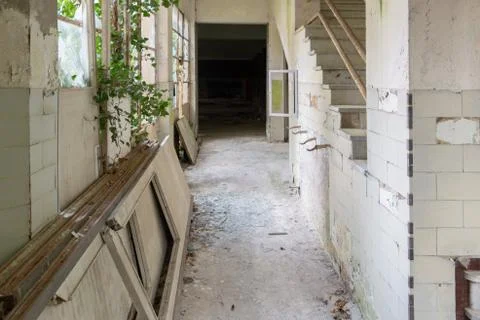 Old abandoned corridor in decay colony building with strair and plant that grow  Stock Photos