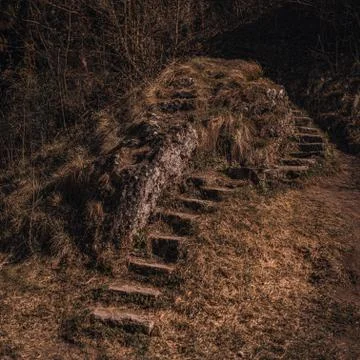Old abandoned dilapidated stone steps in nature overgrown with moss Stock Photos