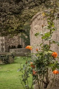 Old abandoned gravestone Stock Photos