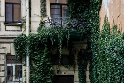 Old abandoned  with greenery Stock Photos
