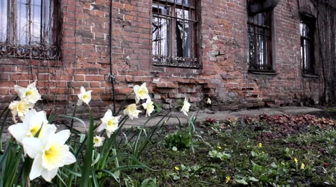 Old abandoned greenhouse Stock Footage 54589378
