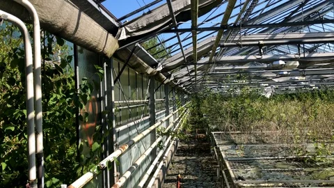 Old abandoned greenhouse Stock Footage 94083366