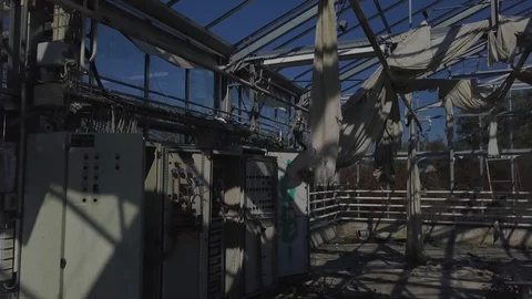 Old abandoned greenhouse Stock Footage 96534846
