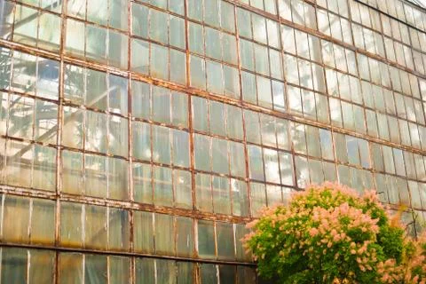 Old abandoned greenhouse rusty windows Stock Photos