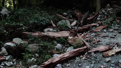 An old abandoned highway in the mountains. Rocks, mountain gorge. Stock Footage 221299025