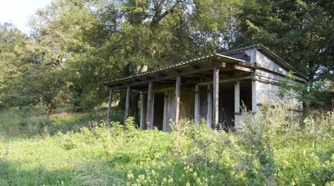 Old abandoned house in a forest Stock Footage 42817461