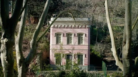 Old abandoned house in the forest Stock Footage 301006216