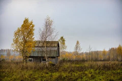 An old abandoned house in the middle of the fields. late autumn, leaves are f Stock Photos
