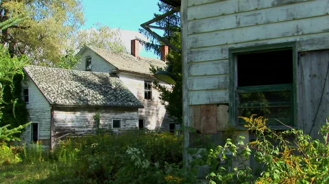 An old abandoned house overgrown with trees and brush. Stock Footage