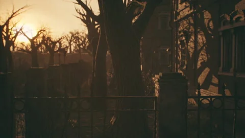 Old abandoned house at sunset Stock-Footage 158930819