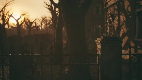 Old abandoned house at sunset Видео 160190574