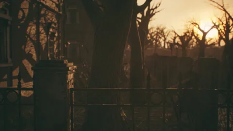 Old abandoned house at sunset Видео 161120349