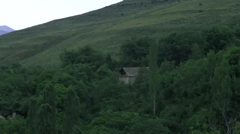 Old Abandoned Hut in the Forrest Stock Footage 53232628