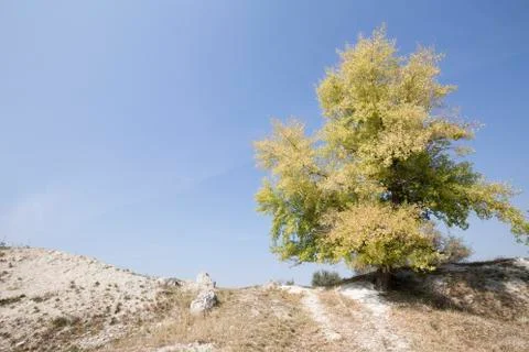 Old abandoned limestone quarry. Stock Photos
