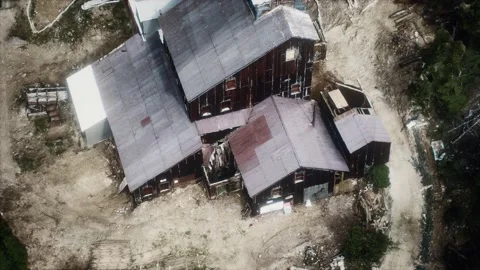 Old abandoned mine in forest Vidéo 143424110