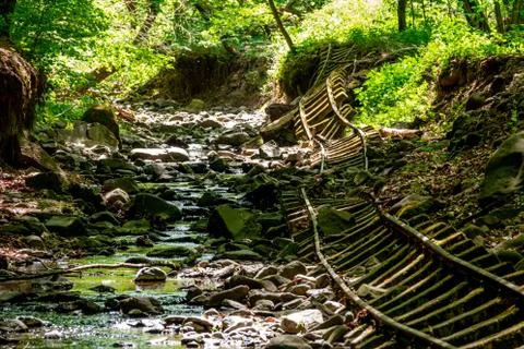 Old abandoned mining train rails in the dark forest Stockfoto's