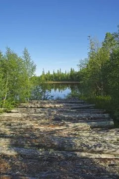 An old abandoned path, once used for timber rafting. An old abandoned path... Stock Photos