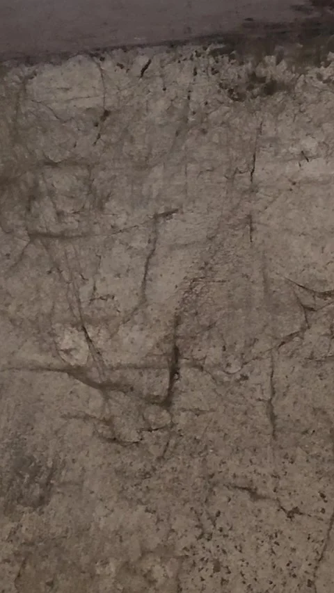 Old abandoned rural house interior cracked walls dirty windows cobwebs decay Stock Footage 339030077