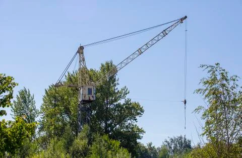 Old abandoned rusty tower crane on the background of trees and blue sky. Stock Photos