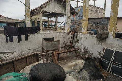 Old abandoned shack on the beach Stock Photos