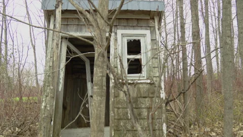 Old abandoned small tiny back house in forest bare trees Stock Footage 275303004