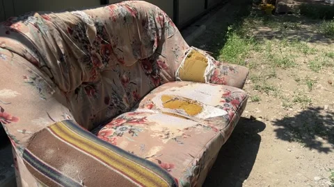 Old abandoned sofa outdoors next to garbage. Stock Footage 344975321