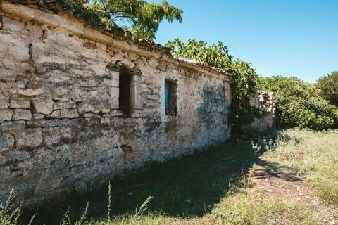 Old abandoned stone building wall with windows overgrown with vegetation in.. Stock Photos