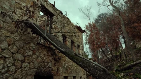 Old abandoned stone house in the forest 4k Stock Footage 320897171