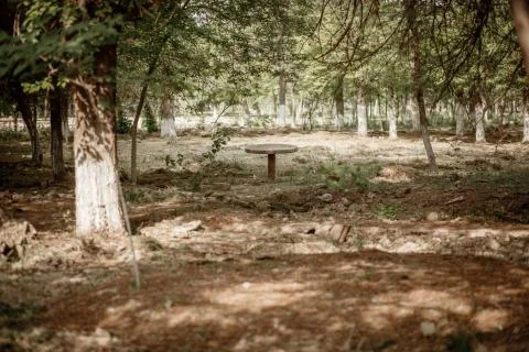 Old abandoned table in the Park Stock Photos