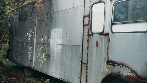 Old abandoned truck in the forest Stock-Footage 108317018