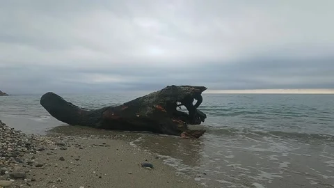 Old abandoned trunk on the beach in Liguria Stock Footage 289147077