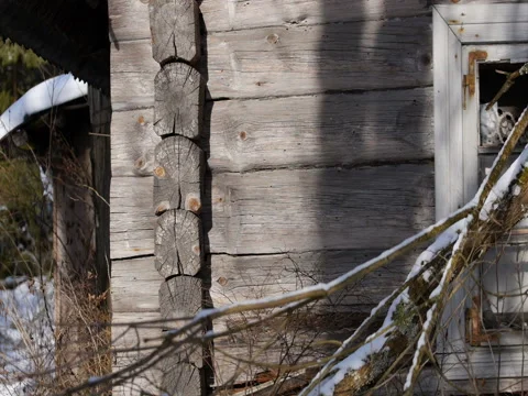 The old abandoned village Video stock 72293793
