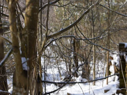 The old abandoned village Stock Footage 72293933