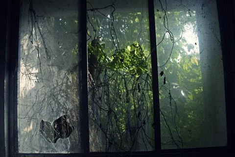 Old abandoned window 库存照片