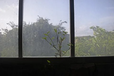 Old abandoned window Stock Photos