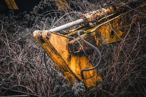 Old abandoned yellow excavator in a garden Stock Photos
