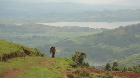 Old African Man from Batwa Tribe Walking, Uganda, Africa Stock Footage 40912448