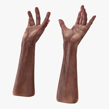 Male and female hand pose 3D model 3D printable | CGTrader