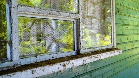 Old aged window with reflection of a forest Видео 94434001