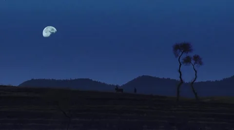 Old  agricultural techniques Stock-Footage 53370633