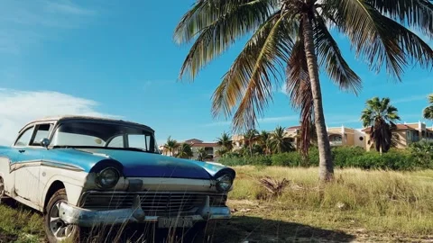 An old American car standing under a palm tree, illuminated by the sun.  Stock Footage 269162330