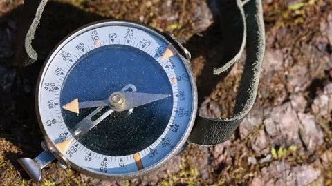 An Old Analog Compass With A Worn Leather Strap Is Placed On A Mossy And Bark-Co Stock Footage 314406366