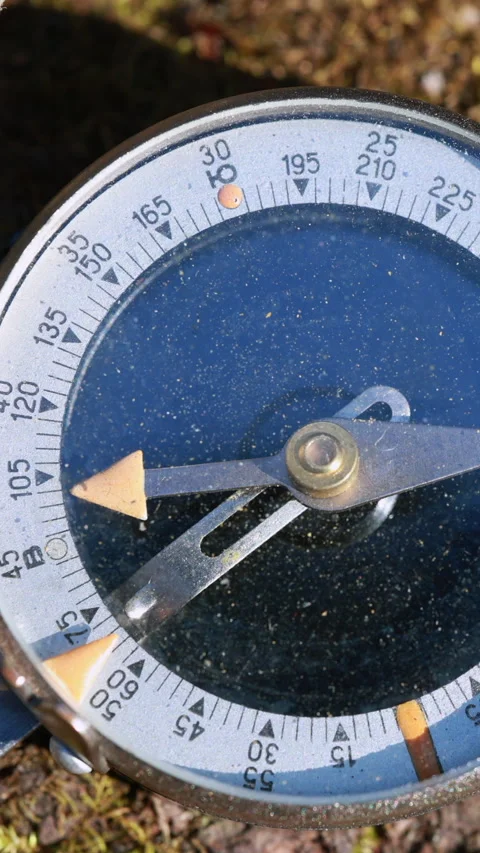 An Old Analog Compass With A Worn Leather Strap Is Placed On A Mossy And Bark-Co Stock Footage 314671819
