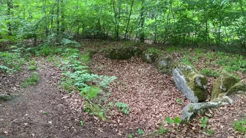 Old ancient grave spot hidden middle in a green forest area of the Elm mountains Stock Footage 132276691
